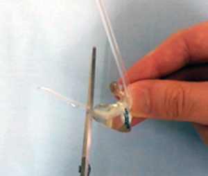 Audiology and Hearing Aid Services | Western Health & Social Care Trust