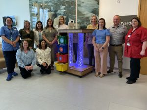 Left to right – back row
Martina Quinn, Staff Nurse, Ward 2; Debbie Connor, Andrea Campbell, Wendy Bonner, Zoe Thompson, Dorothy Jordan, Mary Irvine, Sean Magee and Claire Mulligan, Deputy Sister, Ward 2
Left to right – front row 
Brenda Keaney and Carla Muldoon 