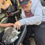 Service User enjoying the visit from Kidz Farm
