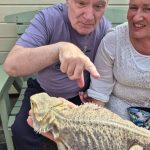 Service User enjoying the visit from Kidz Farm