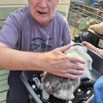 Service User enjoying the visit from Kidz Farm