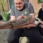 Service User enjoying the visit from Kidz Farm