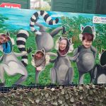 Service Users from Rosville Group at Tropical World