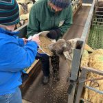 Kevin Hagan Helping Anna To Feed The Animals At Butterlope Farm