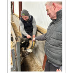 Omagh Centre Service User At Butterlope Farm (2)