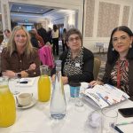 Attendees at Mental Health Collaborative