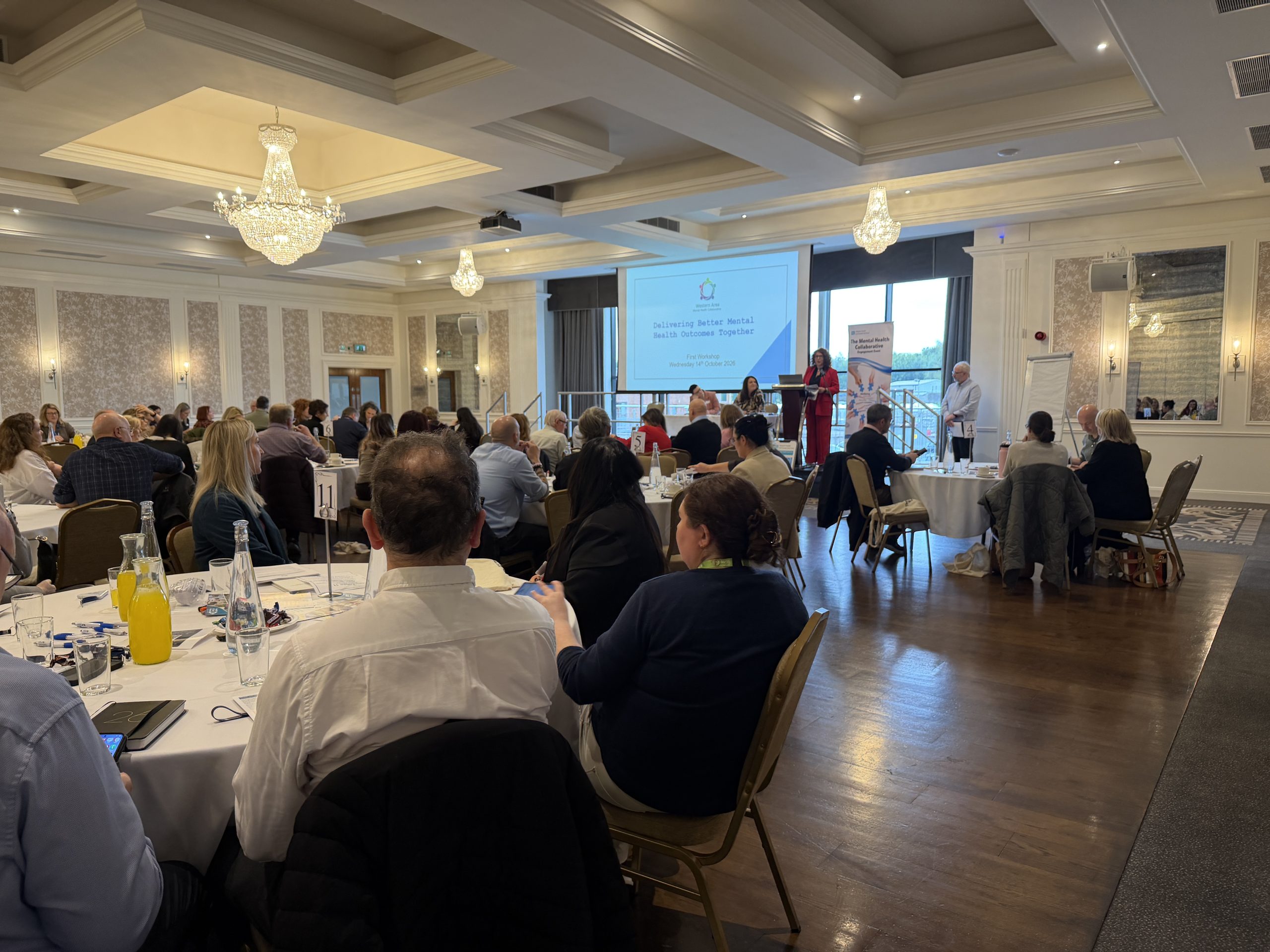 Attendees at Mental Health Collaborative